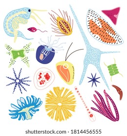 Microorganisms of marine plankton under the microscope, set of flat flat vector illustrations isolated on white background. Microbes or organisms of sea water.