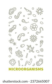 Microorganisms vector Micro Organisms concept thin line vertical banner. Microorganism illustration in outline style