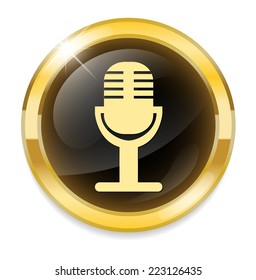 Microphone Button Stock Vector (Royalty Free) 223126435 | Shutterstock