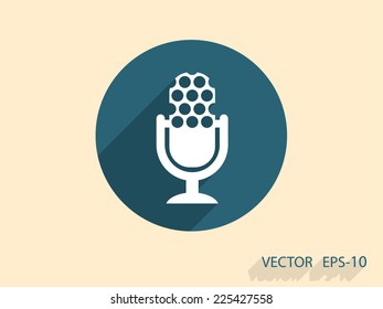 microphone icon