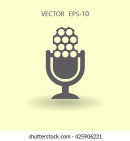 microphone icon