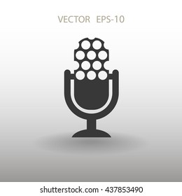 microphone icon