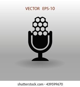 microphone icon