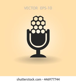 microphone icon