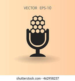 microphone icon