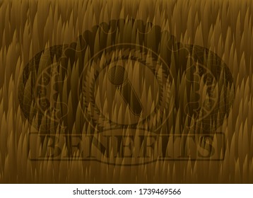 microphone icon and Benefits text Brown fur realistic badge. Pet fancy background. Intense illustration. 