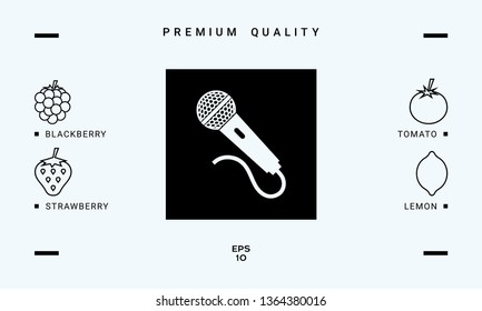 Microphone icon symbol. Graphic elements for your design