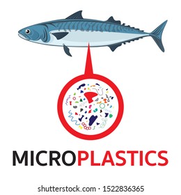 Microplastics In Fish And The Implications For Human Health. Microplastic Contamination Polluted Throughout The Marine Environment. Toxicology From Fish To Human.