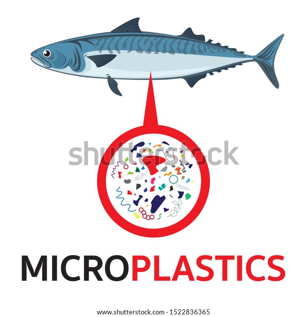 Microplastics Fish Implications Human Health Microplastic Stock Vector