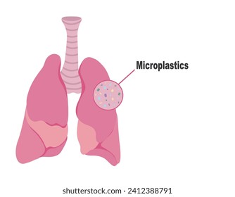 microplastics in the lungs Human