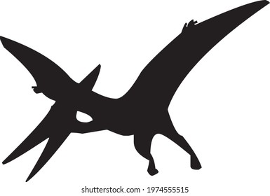 microraptor dainosaur drawing vector design 