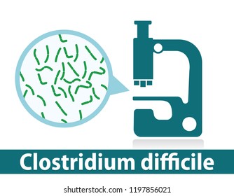 microscope, bacteria clostridium difficile  
