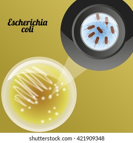 microscope for examining microbes and bacteria in science