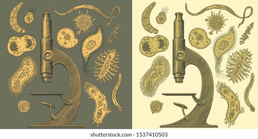 Microscope and germs. Design set. Hand drawn engraving. Editable vector vintage illustration. Isolated on light and dark backgrounds. 8 EPS 