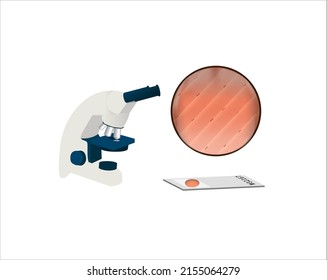 microscope, histological slide and muscle tissue under microscope, vector
