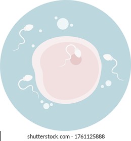 Microscope image of a woman's ovum being fertilized by a sperm.stock isolated illustration on white background for printing on postcards, websites, shop advertising in cartoon style