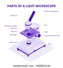 Microscope isometric illustration with light microscope parts infographic elements isolated on white background.