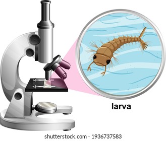 Microscope with larva mosquito on white background illustration