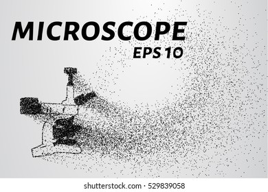 The microscope of the particles. consists of circles and points. Vector illustration.