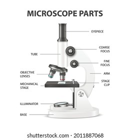 Microscope front view clip art Royalty Free Stock SVG Vector and Clip Art