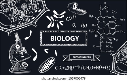 Microscope, Plant Cell, Scheme Of Photosynthesis, Mitochondria And Chromosomes. School Backround.