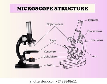 Microscope structure diagram. Science education vector illustration