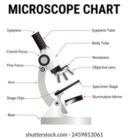 Diagrama del Vector del microscopio, microscopio realista, instrumento farmacéutico, herramienta de aumento de la microbiología. Símbolo de ciencia, química y exploración. Microscopio de laboratorio de Vector