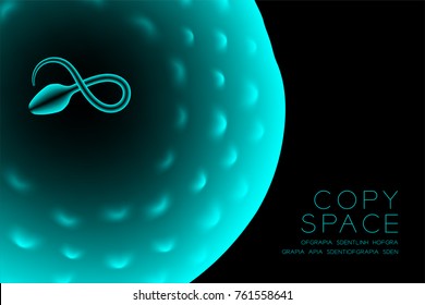 Microscope X-ray Fertilization close up horizontal set, Sperm and Ovum blue color illustration isolated glow on dark background, with copy space