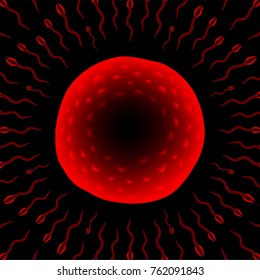 Microscope X-ray Fertilization problem close up set, Sperm and Ovum red color illustration isolated glow on dark background, with copy space