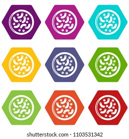 Microscopic bacteria icons 9 set coloful isolated on white for web