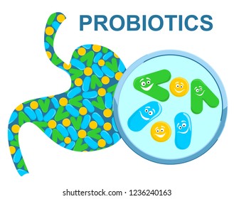 Microscopic bacterias. microflora, viruses in Intestine. Vector flat illustration icon design. Human intestine microflora. Digestive tract or alimentary canal