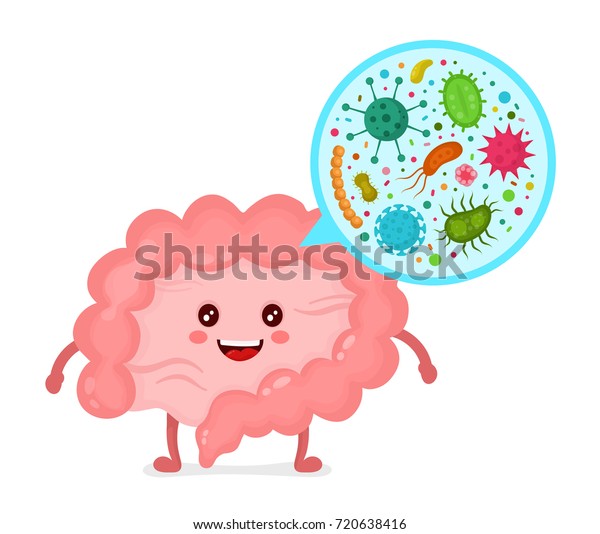 微細細菌 腸内のウイルスに関する微生物叢 ベクターフラットイラストアイコンカートーンキャラクタデザイン ヒト腸 微細叢 消化管または消化管 のベクター画像素材 ロイヤリティフリー