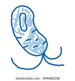 Microscopic Bacterium With Tails sketch icon vector. Hand drawn blue doodle line art isolated symbol illustration