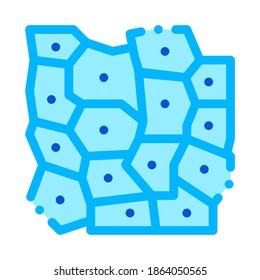 Microscopic Derm Cell Vector Sign Thin Line Icon. Medical Healthy Human Skin Derma Cell Linear Pictogram. Microbe Type Infection Biology Microorganism Contour Illustration
