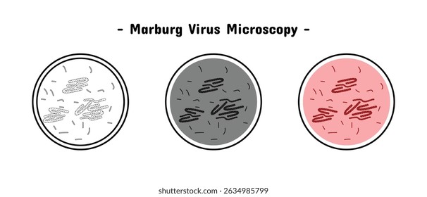microscopic marburg virus, available in three variants, medical and health, infection and contagious, editable vector eps 10.