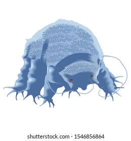 Microscopic Organism Creature Water Bear Illustration. Bacteria, Fungi, Archea. Micro Organism. Can Live Outer Space. Infographic Vector