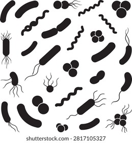 Microscopic organisms in various forms including bacilli cocci and spirilla presented as clean vector graphics for medical or educational content.