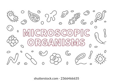 Microscopic Organisms vector Bacteriology concept outline horizontal banner - Microorganism illustration