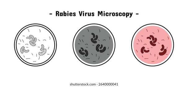 microscopic rabies virus, available in three variants, medical and health, infection and contagious, editable vector eps 10