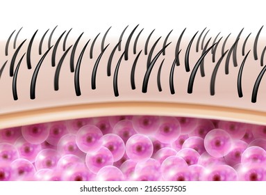 Microscopic view of hair, skin, fat and cell layers. Beauty ads, skin care products, hair care products, shampoo, medical realistic EPS file.