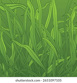 Microsorum pteropus (narrow leaf) On Volcanic rock in the aquarium plants, Commonly used for decorating Freshwater fish tank, a simulation of natural planting