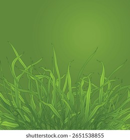 Microsorum pteropus (narrow leaf) On Volcanic rock in the aquarium plants, Commonly used for decorating Freshwater fish tank, a simulation of natural planting
