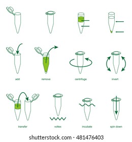 microtube protocol