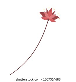 Mid autumn festival concept clipart. Lotus. Chinese traditional culture. Vector. Flat.