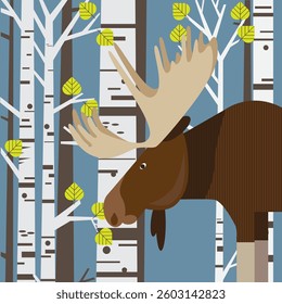 mid century moose in birch forest