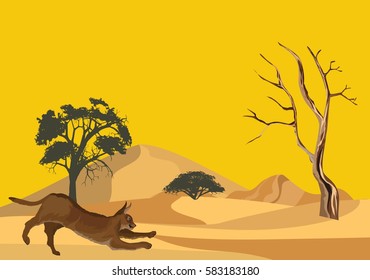Middle asiand wild cat karakal on desert sands vector illustration