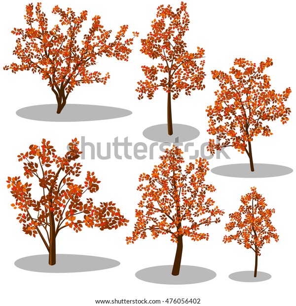 Middle autumn trees set (red\
leafs)