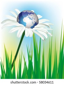 in the middle of daisy there is earth