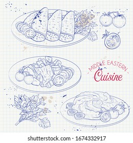 Middle Eastern cuisine, arabian dishes.