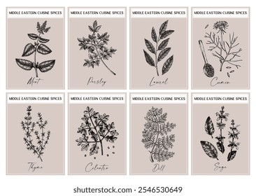 Conjunto de etiquetas de especias de Oriente Medio: albahaca, menta, romero, perejil, salvia, hoja de laurel, bocetos de hinojo. Ilustración de comida dibujada a mano. Especias de diseño de embalaje. NO se ha generado IA